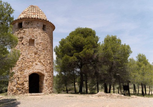 Celebra la teua ocasió especial amb les millors experiències gastronòmiques a València